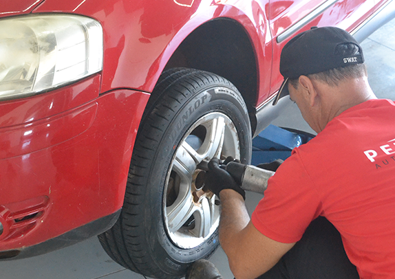 imagem_petry__0001_DSC_1805